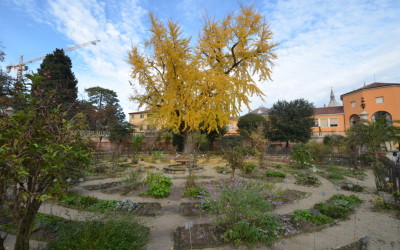 Botaniske hage i Padova Italia